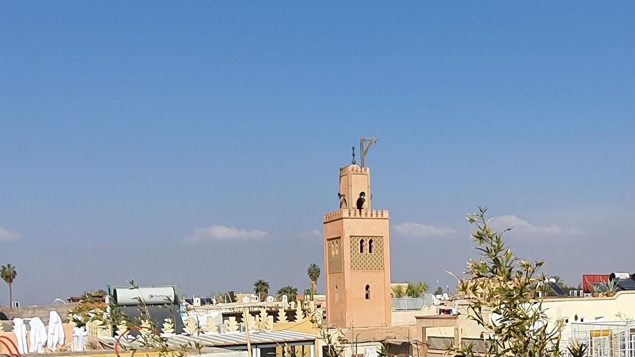 Photo of Others in Mellah