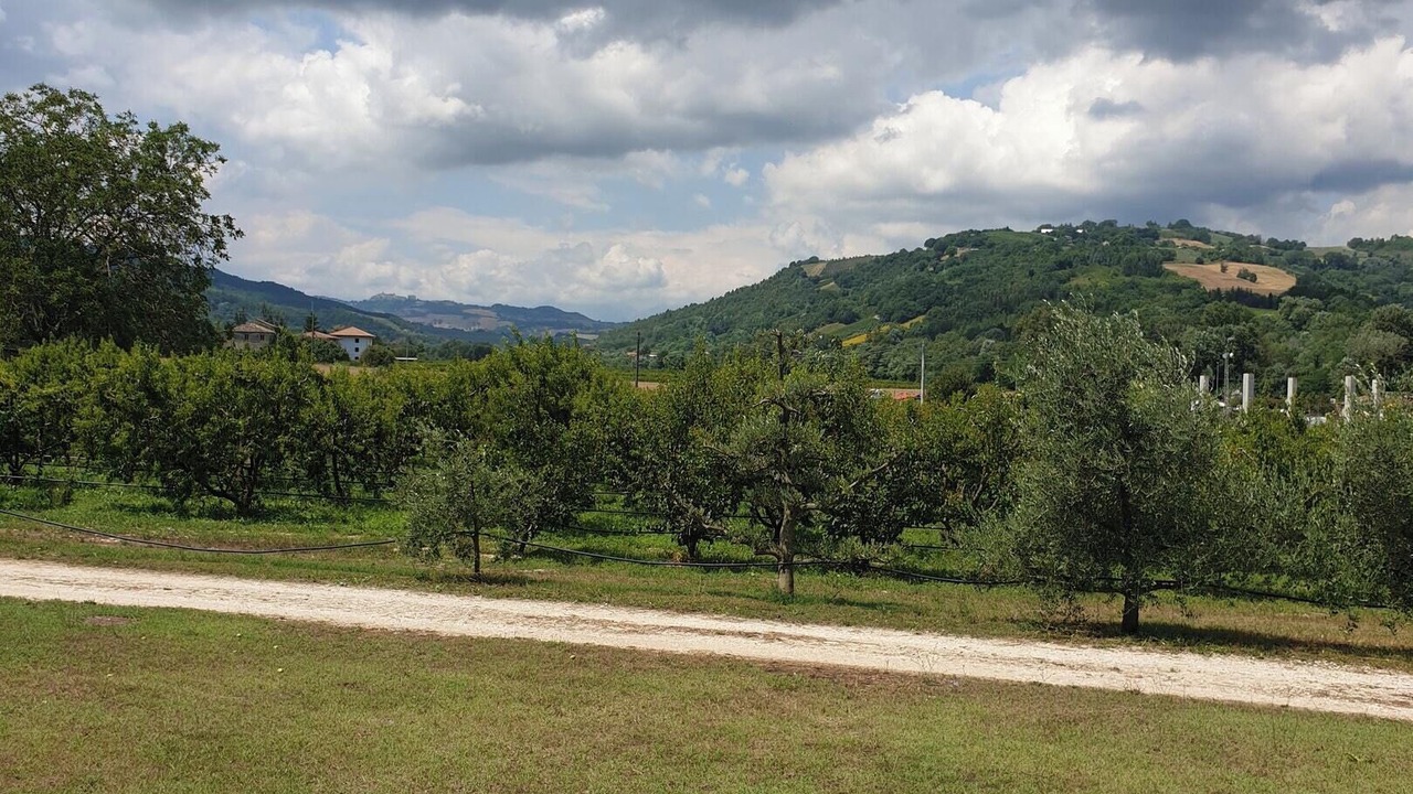 Photo of Others in Montalto delle Marche