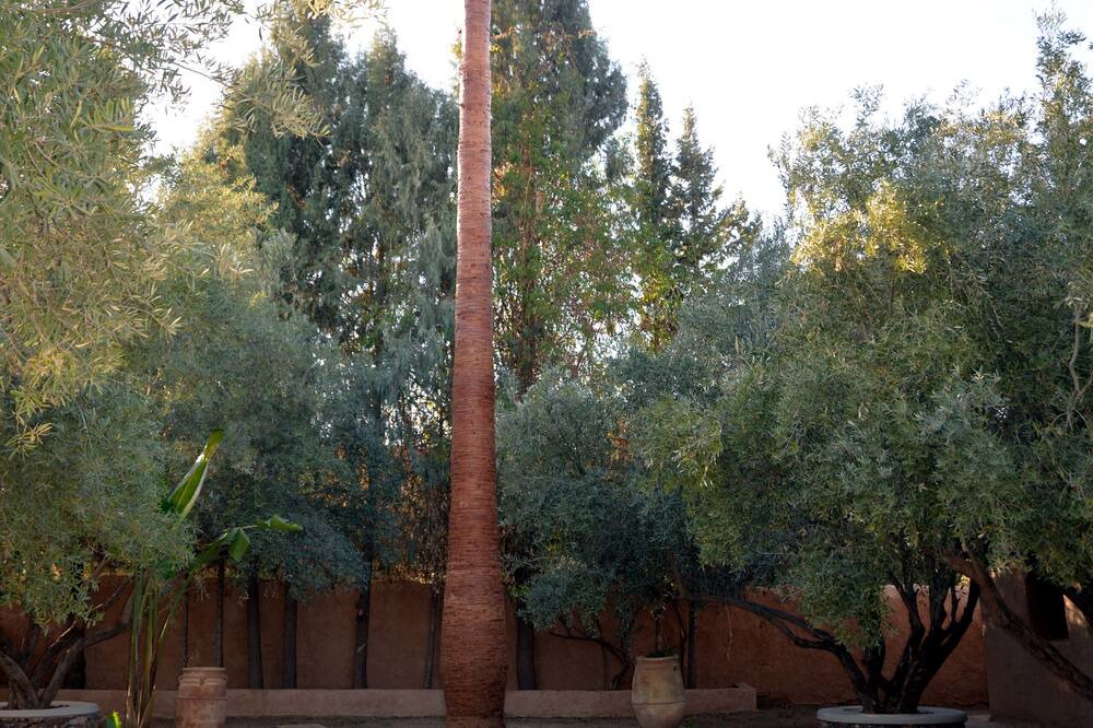 Photo of Outdoor in Amizmiz