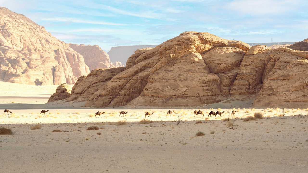 Photo of Others in Ramm