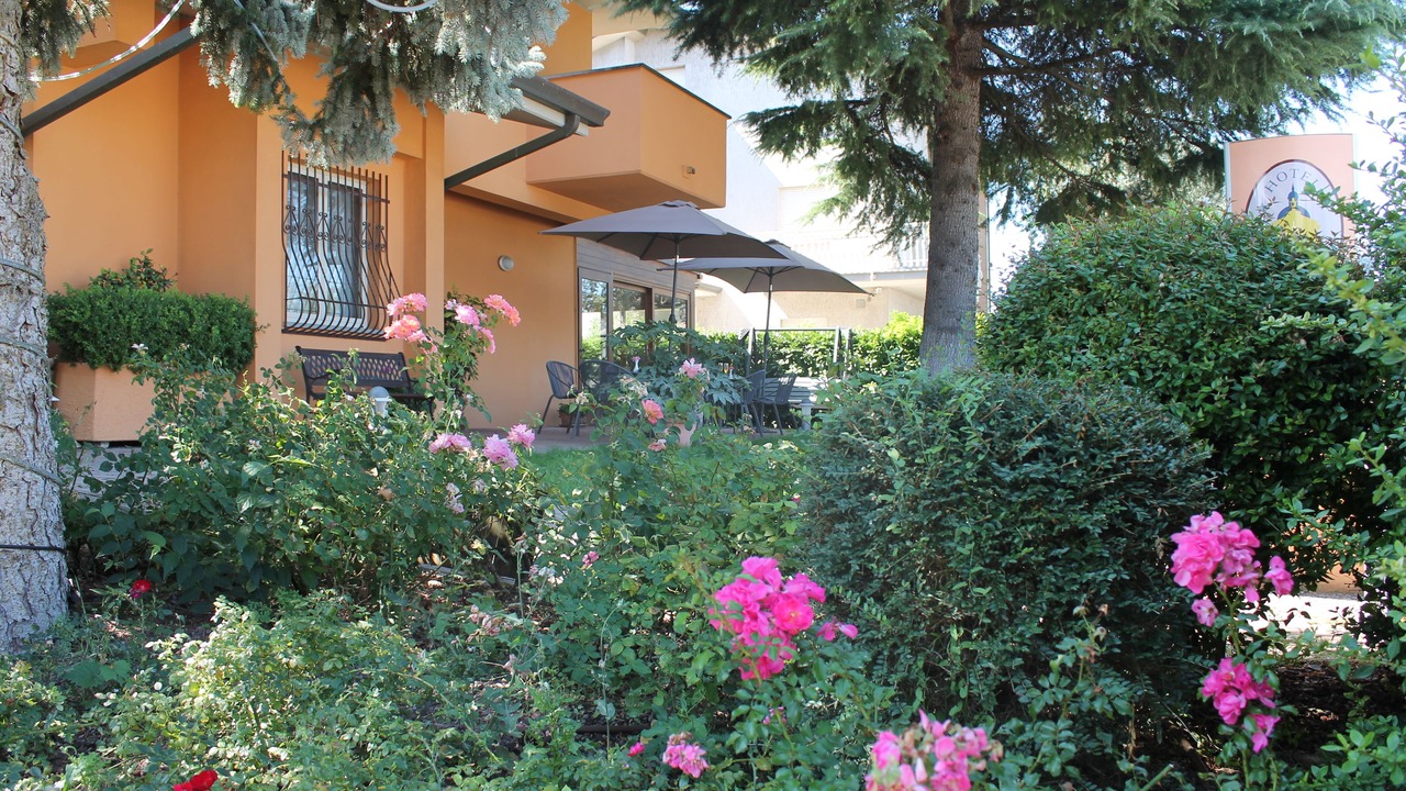 Photo of Outdoor in Santa Maria degli Angeli