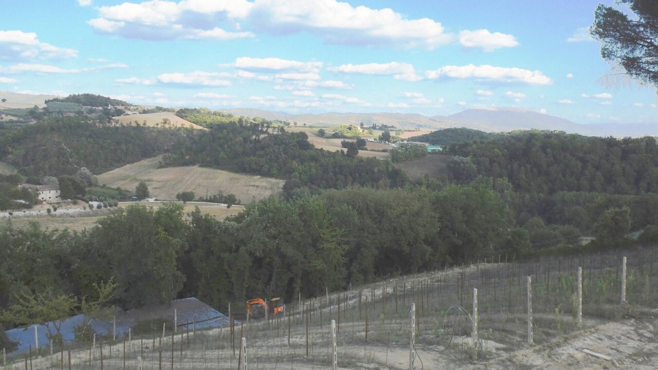 Photo of Others in Ramazzano