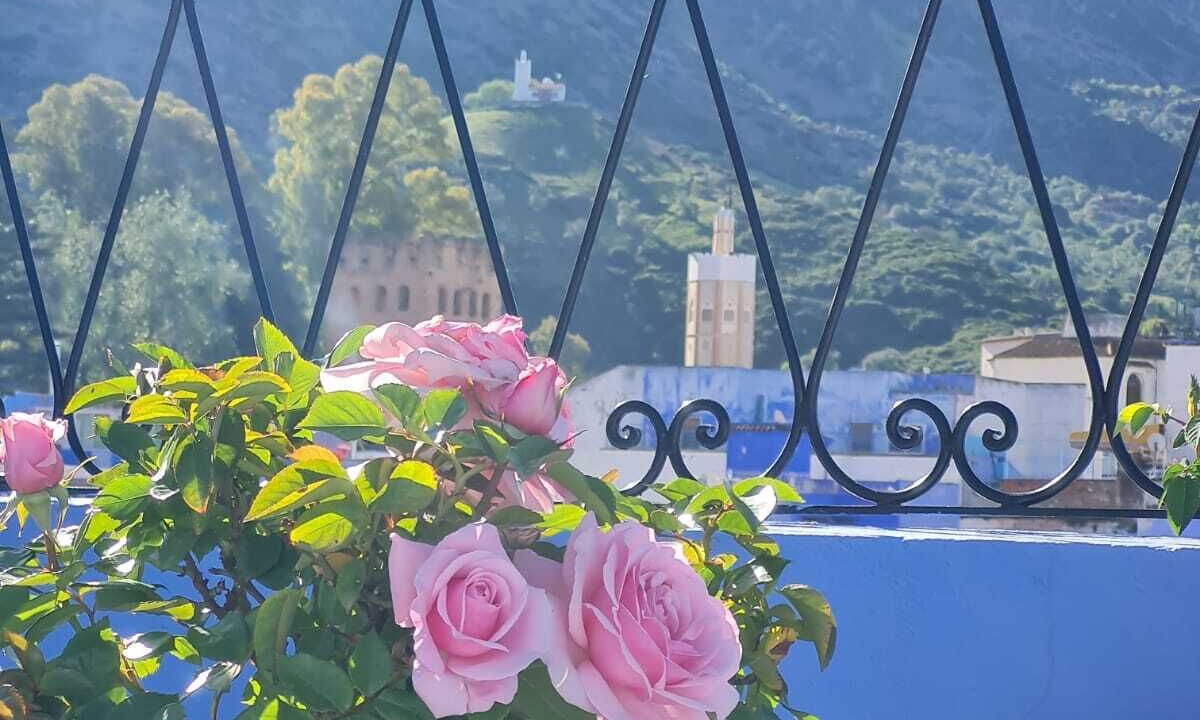 Photo of Outdoor in Medina of Chefchaouen