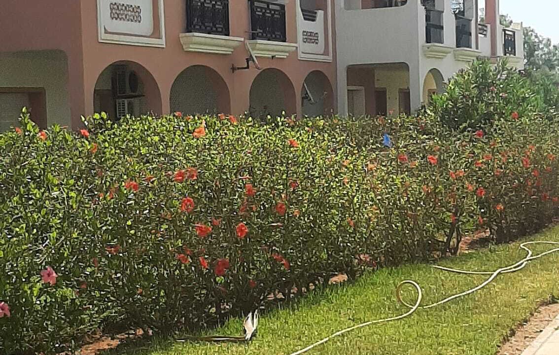 Photo of Outdoor in Marina