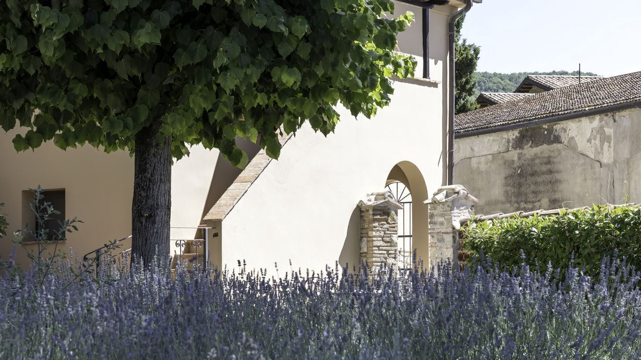 Photo of Outdoor in Passignano sul Trasimeno