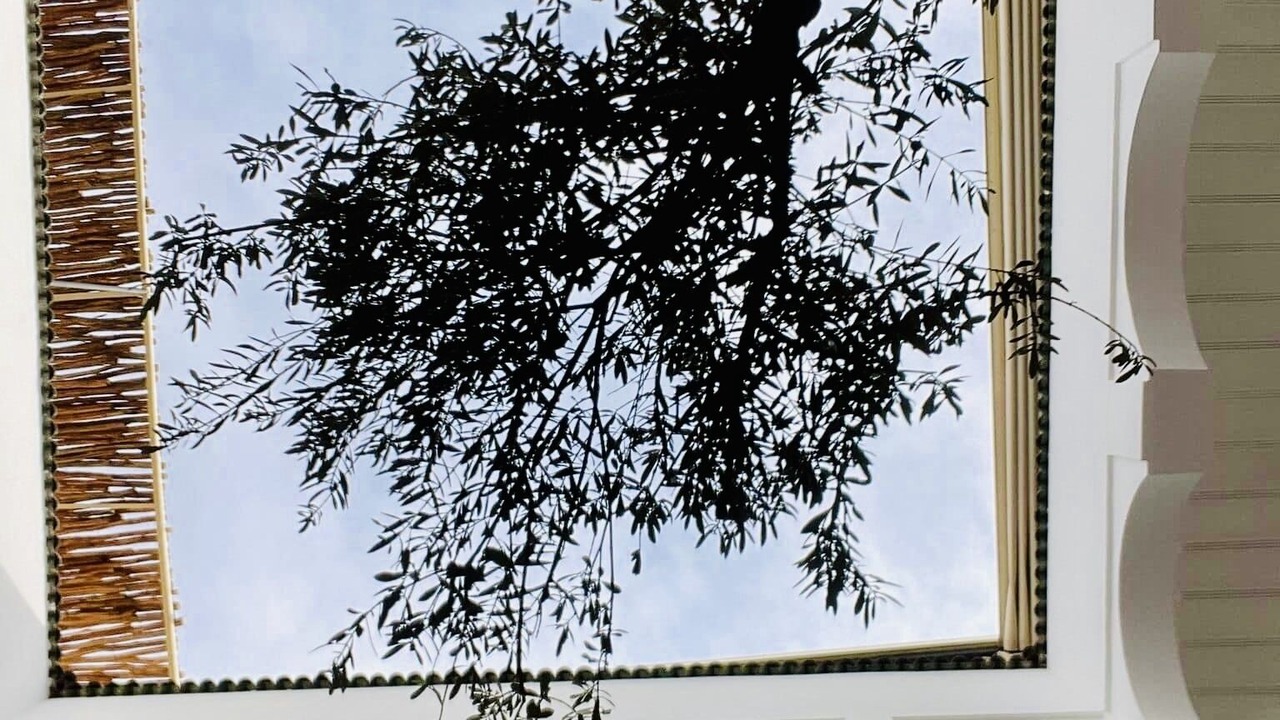 Photo of Outdoor in Mechouar-Kasbah