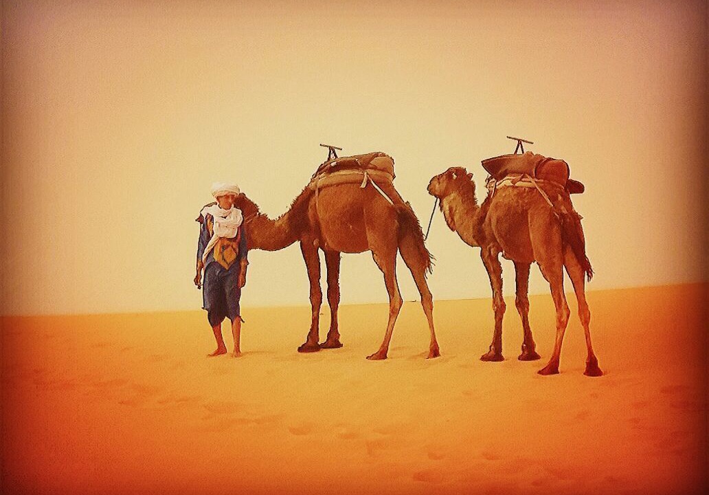 Photo of Others in Merzouga