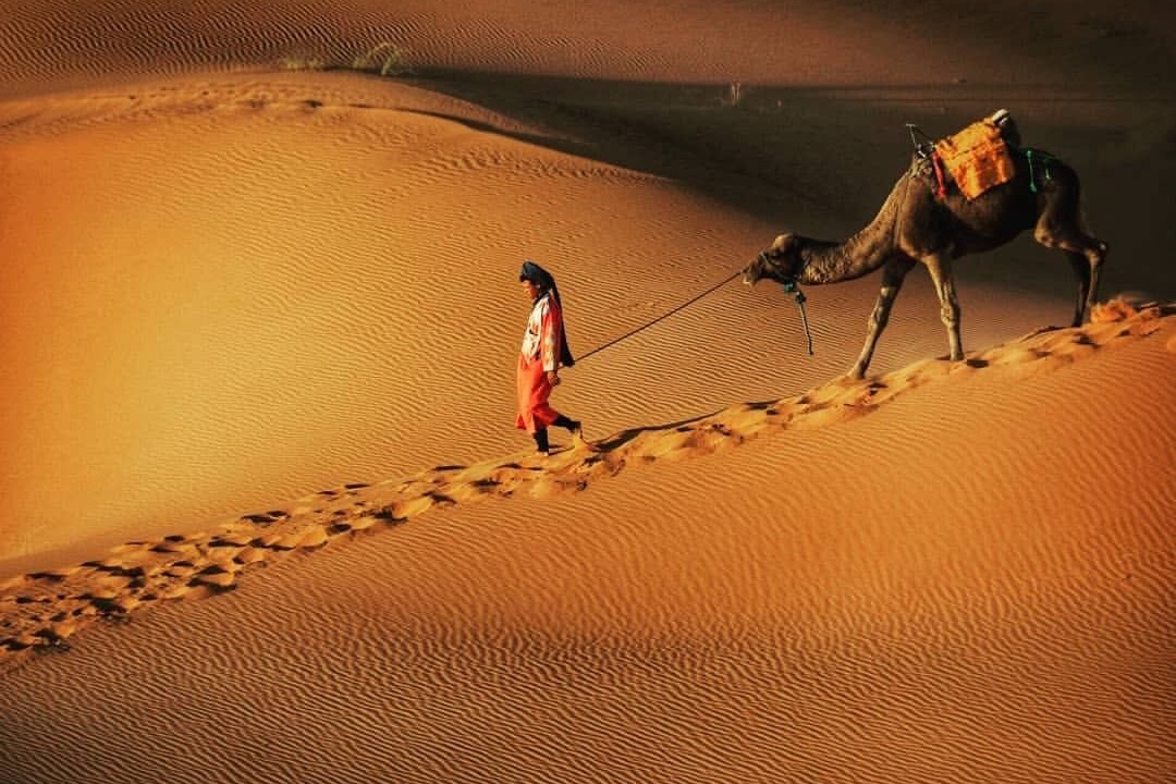 Photo of Others in Merzouga