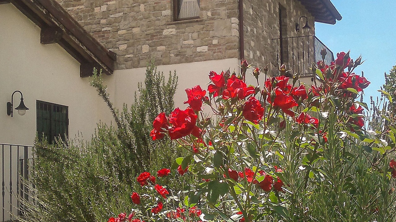 Photo of Outdoor in Lidarno