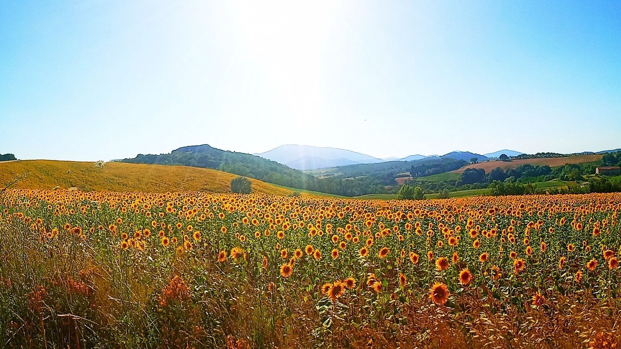 Photo of Outdoor in Lidarno