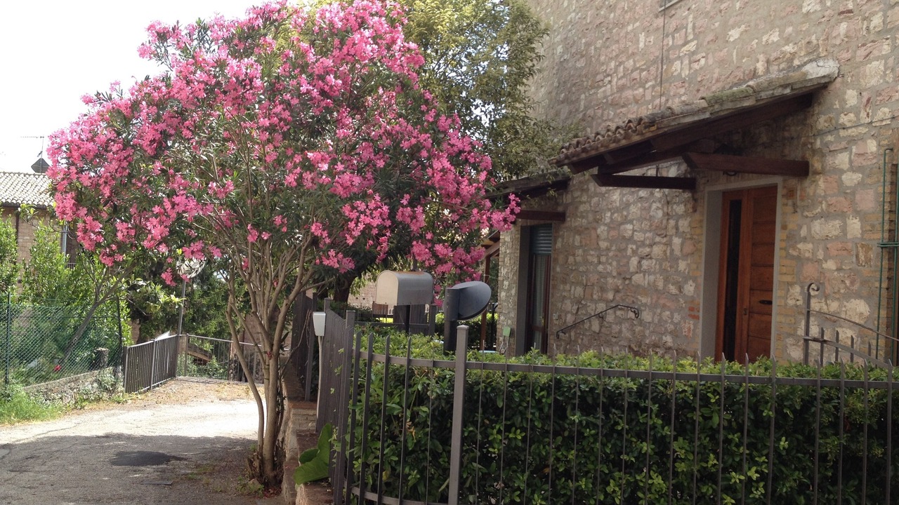 Photo of Outdoor in Assisi