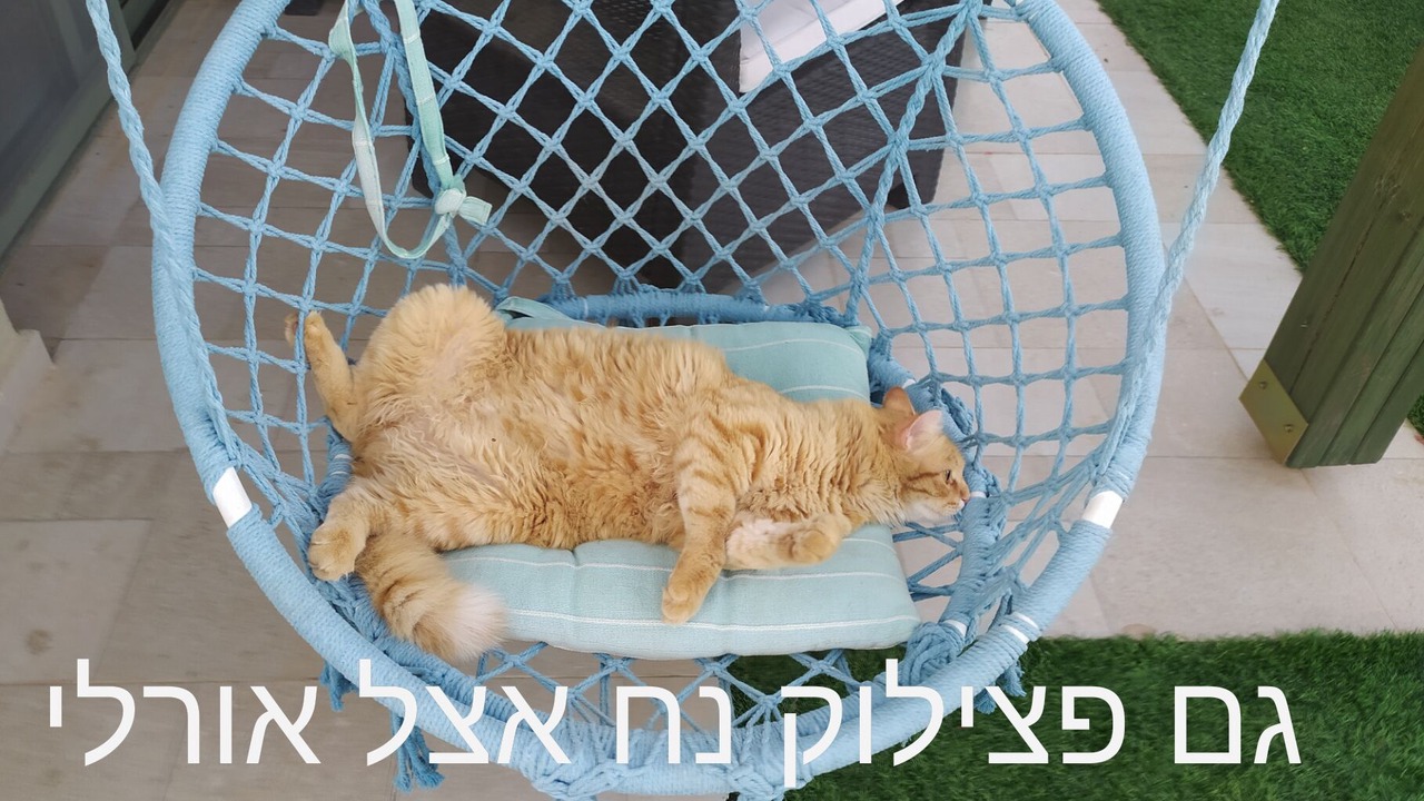 Photo of Others in Hadera