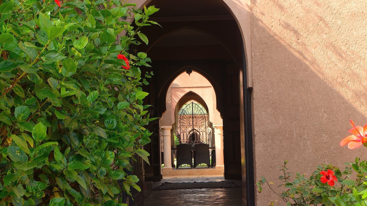 Photo of Outdoor in Palmeraie