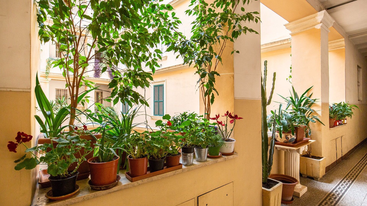 Photo of Others in Trastevere