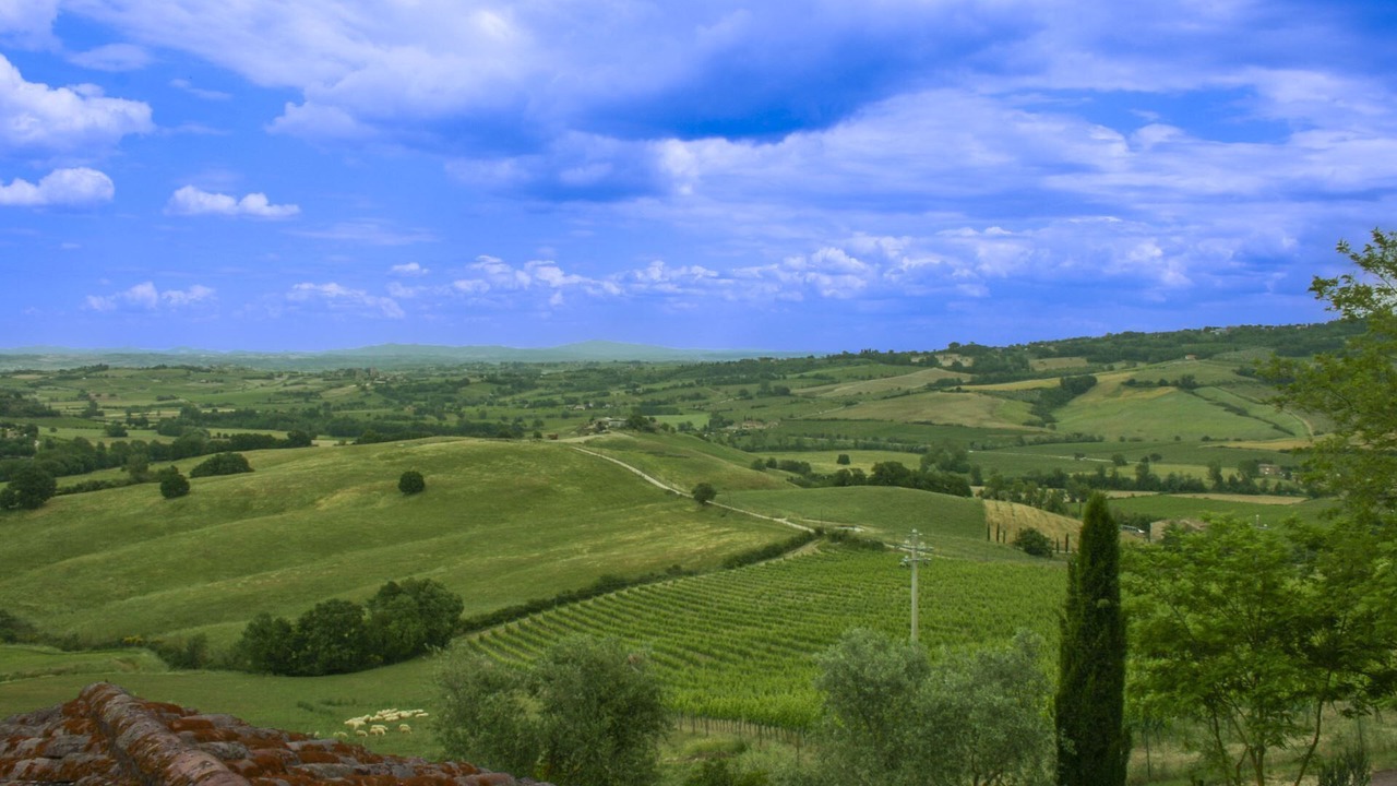Photo of Others in Montepulciano