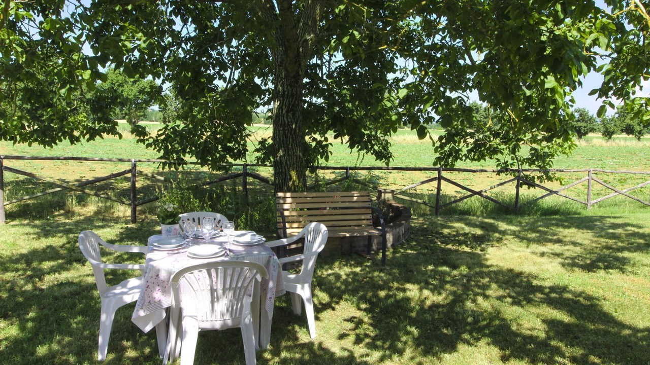 Photo of Outdoor in Foiano della Chiana