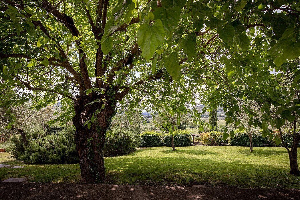 Photo of Outdoor in Pieve di Chio