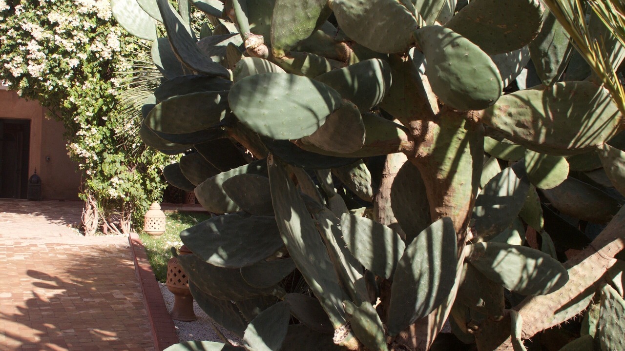Photo of Outdoor in Sidi Abdallah Ghiat
