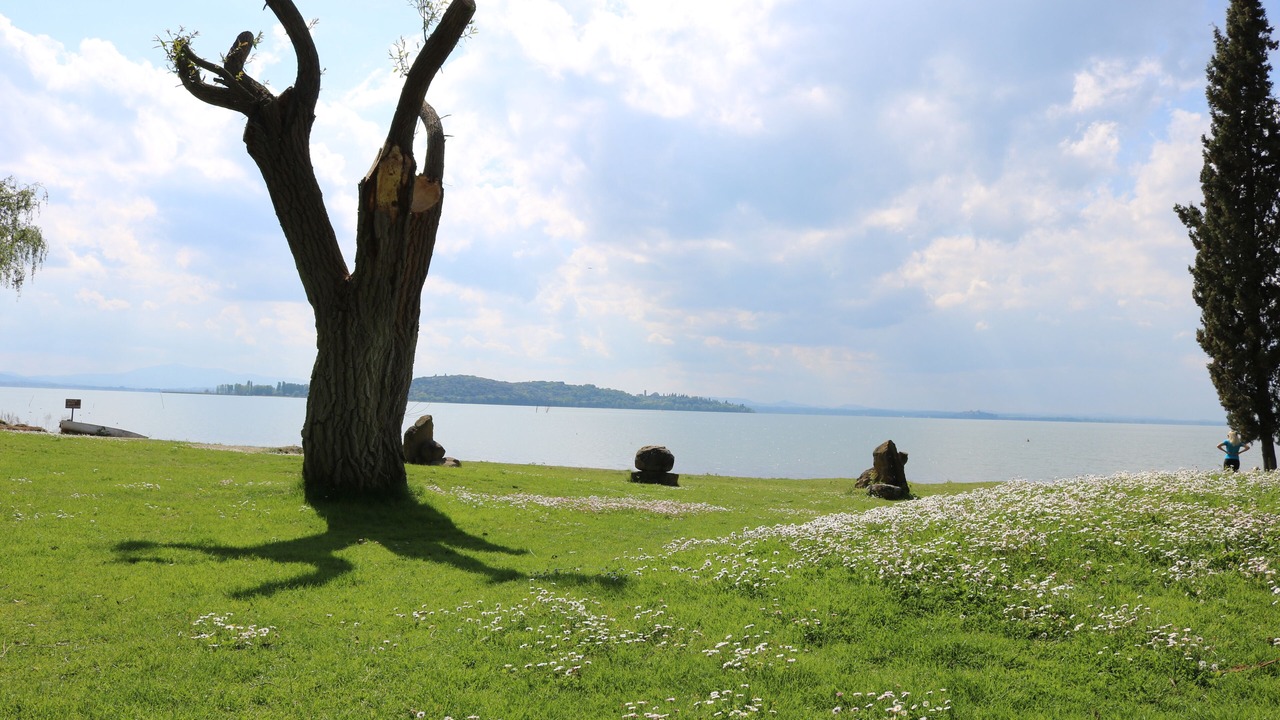 Photo of Others in Passignano sul Trasimeno
