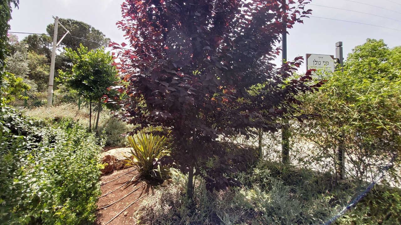 Photo of Outdoor in Rosh Pinna