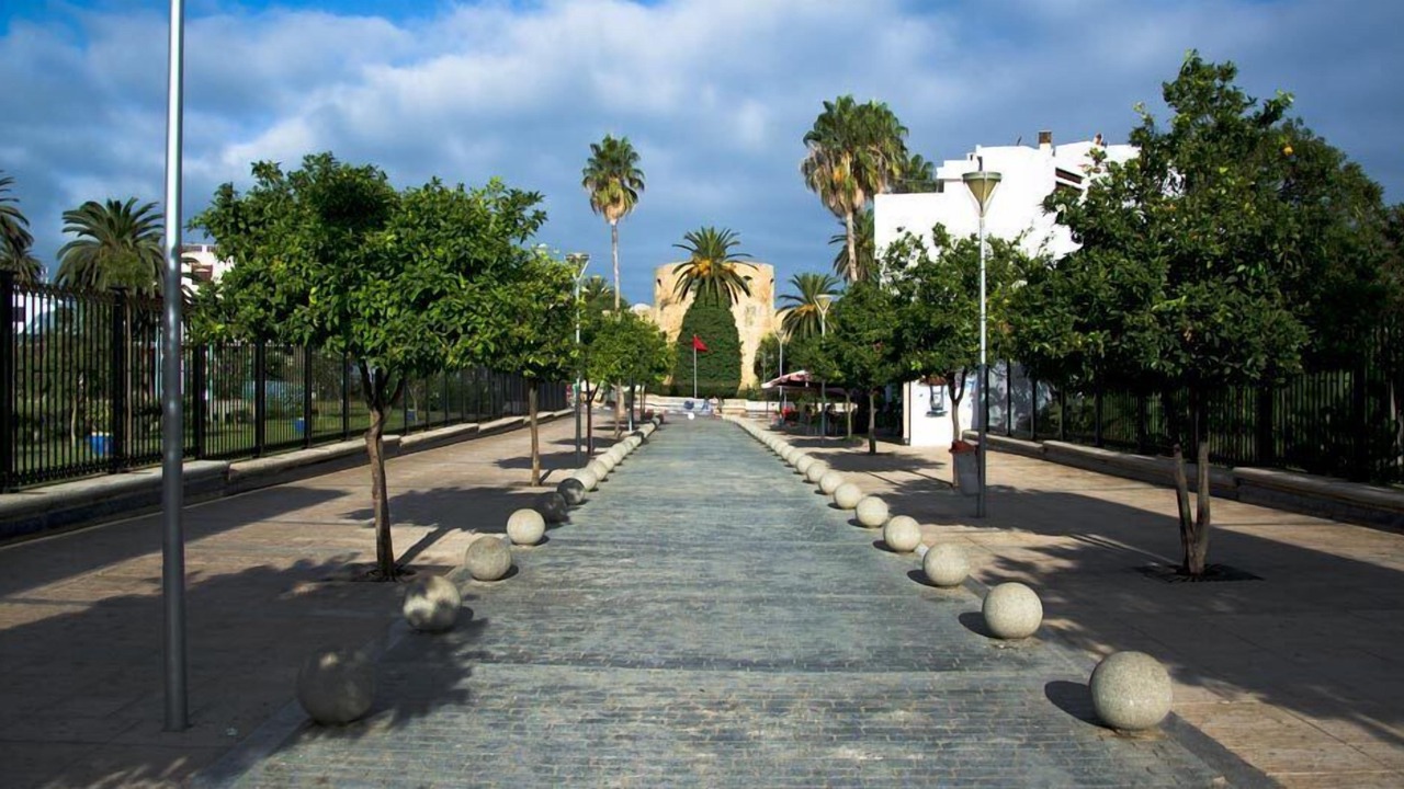 Photo of Others in Asilah