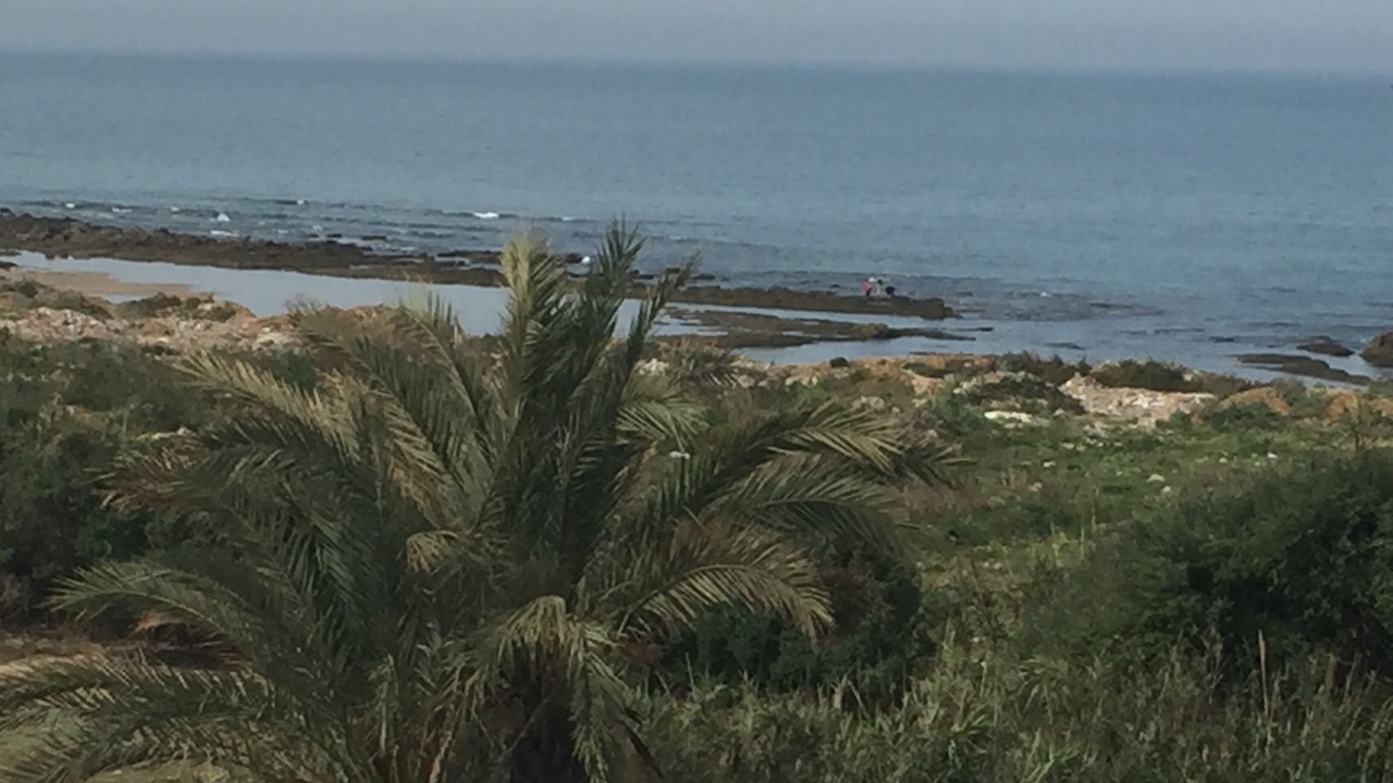 Photo of Others in Asilah