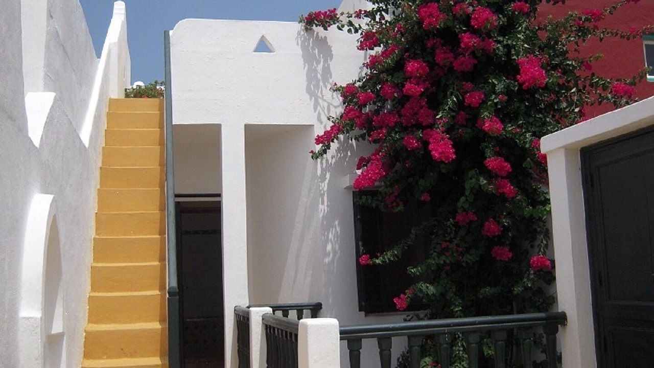 Photo of Outdoor in Medina