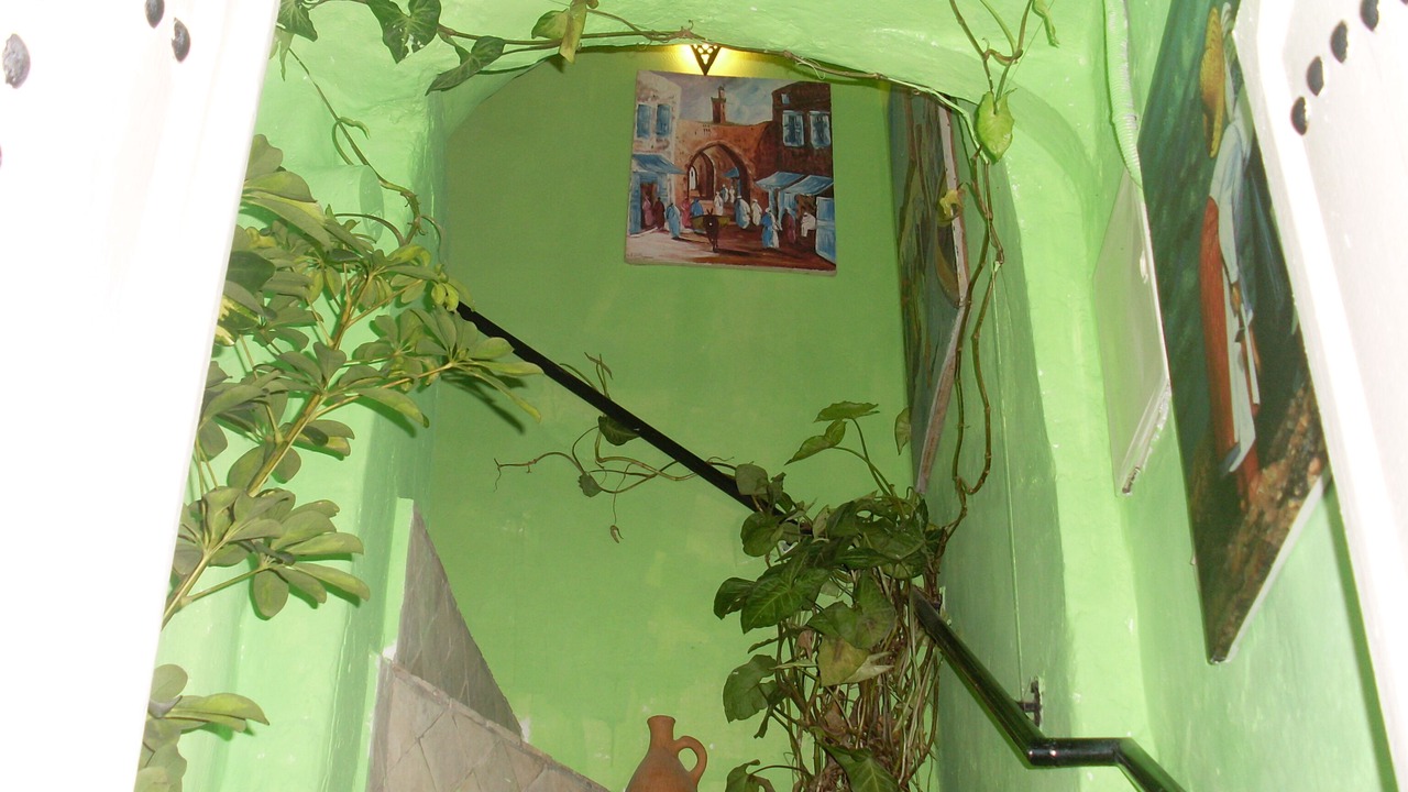 Photo of Others in Medina of Tangier