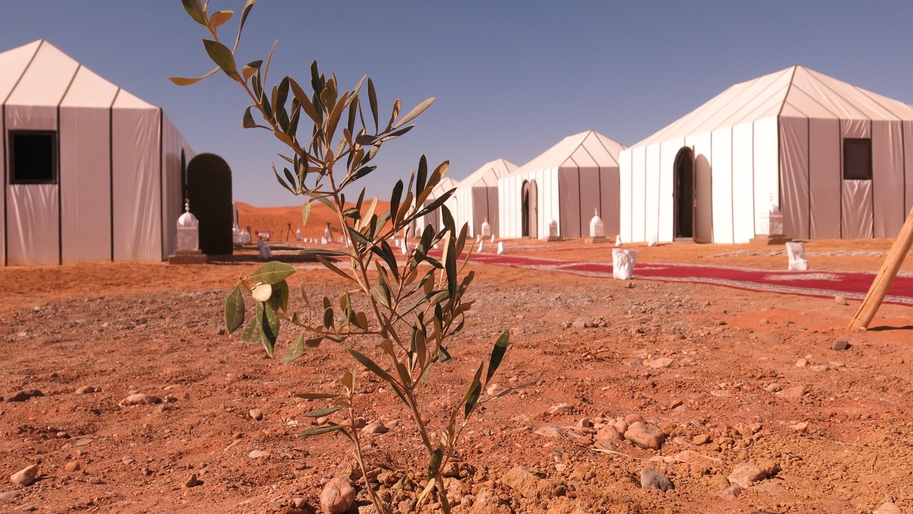 Photo of Outdoor in Taouz