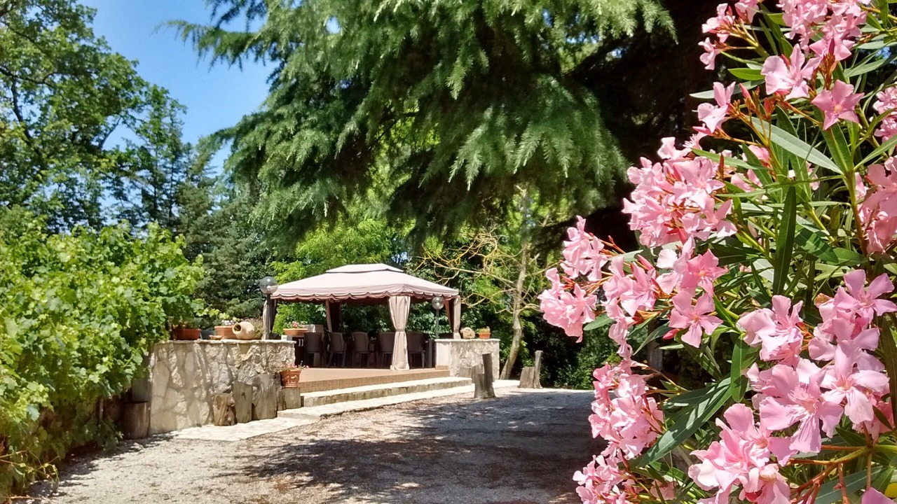 Photo of Outdoor in Bosco