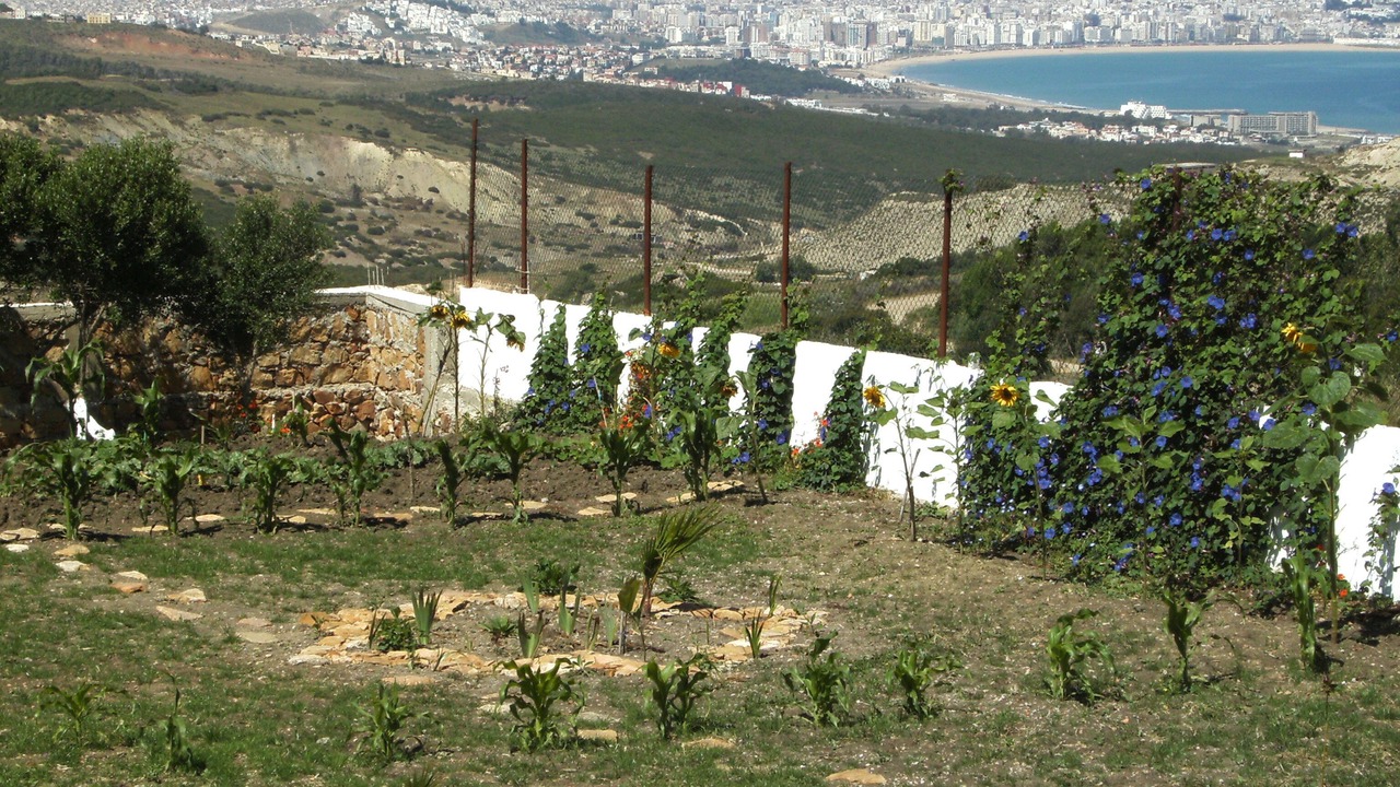 Photo of Outdoor in Feddane Chappo