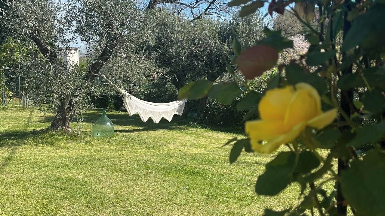 Photo of Outdoor in SantʼAngelo in Pontano