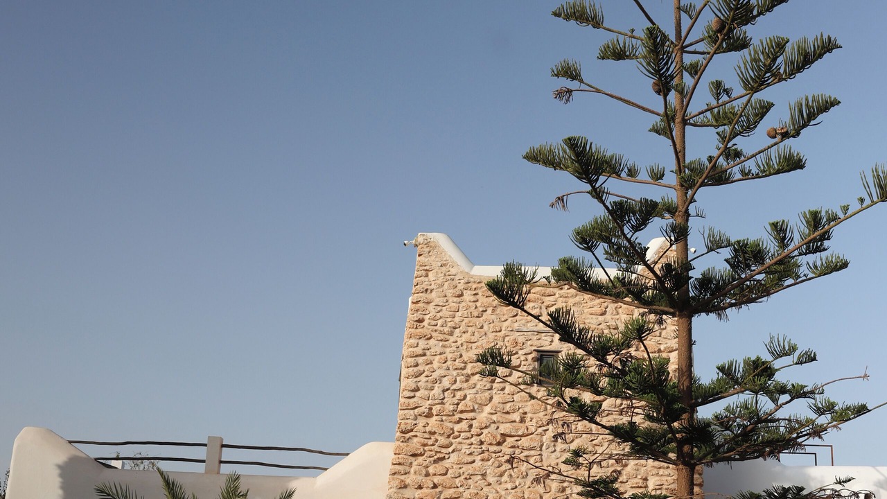 Photo of Outdoor in Sidi Kaouki