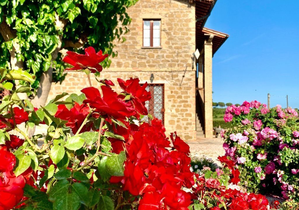 Photo of Outdoor in Torgiano