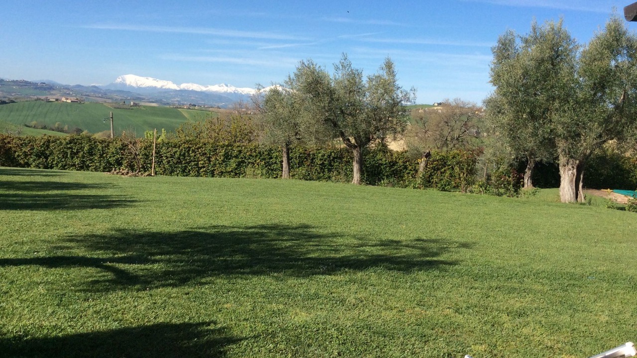 Photo of Others in Fermo