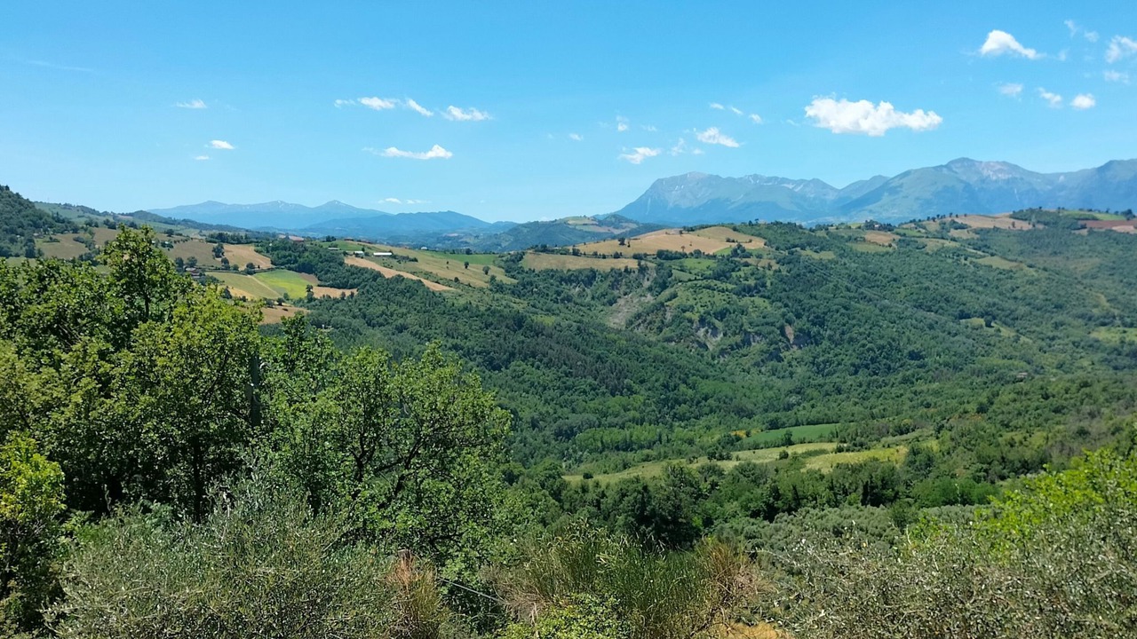 Photo of Others in Penna San Giovanni