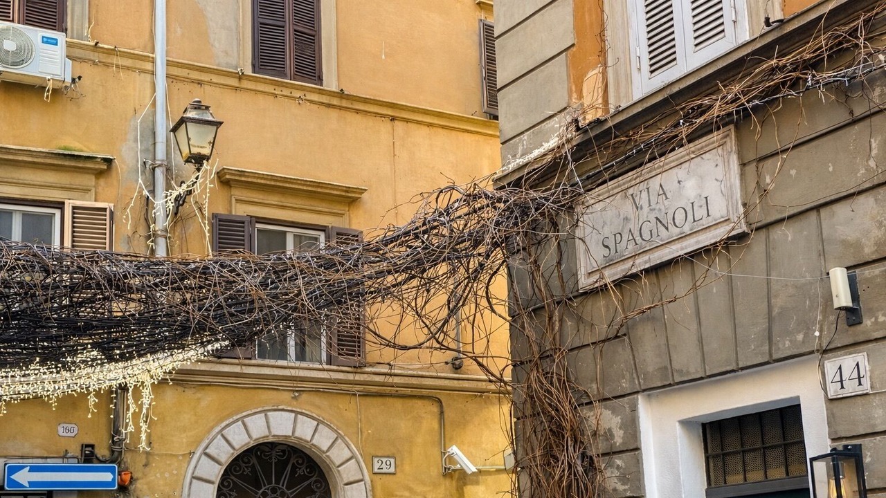Photo of Outdoor in Rione VIII Sant'Eustachio