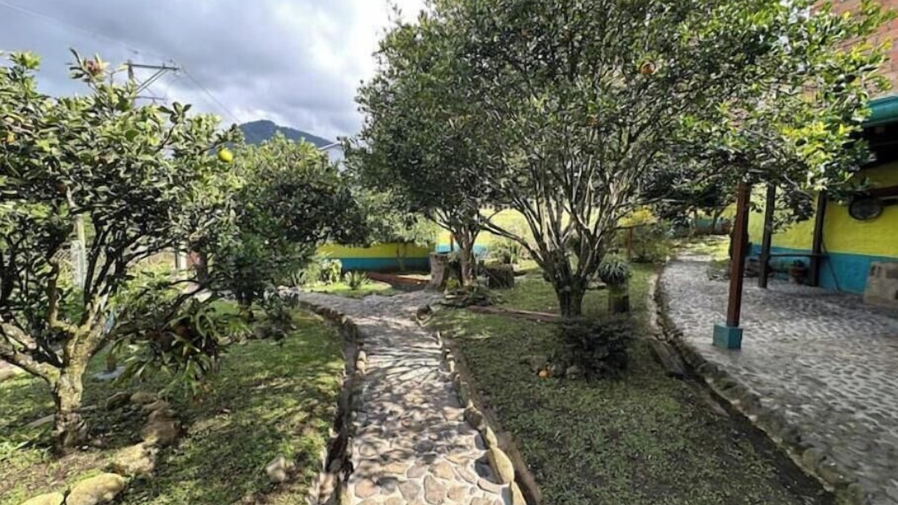 Photo of Outdoor in Jardin