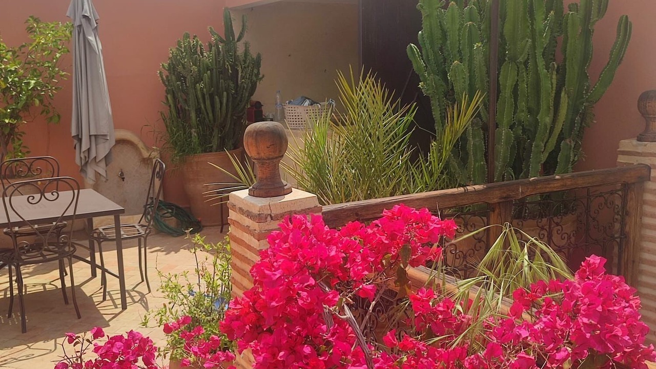 Photo of Outdoor in Diour Jdad