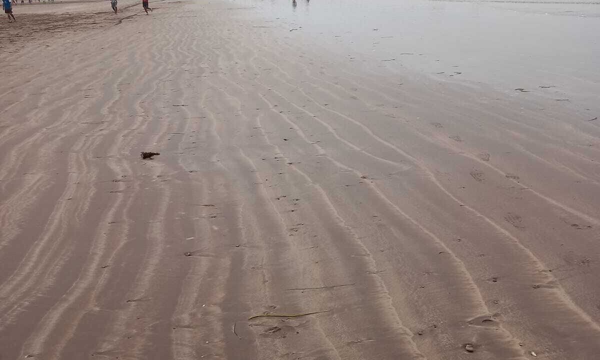 Photo of Others in El Jadida