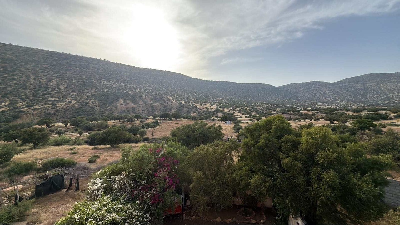 Photo of Others in Tamraght
