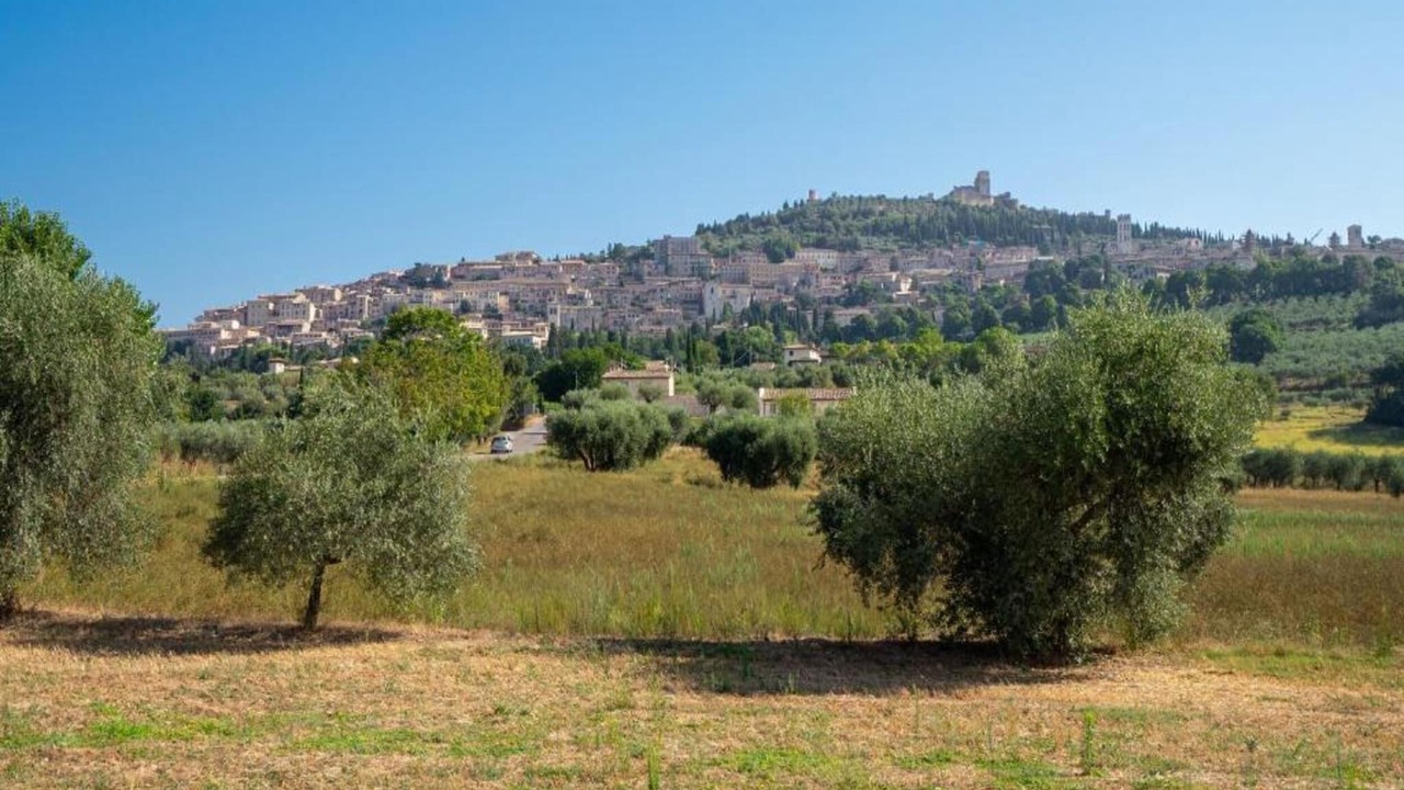 Photo of Others in Assisi