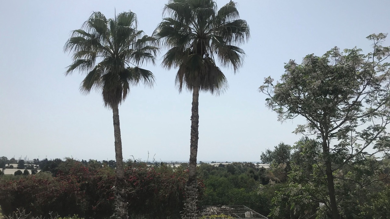 Photo of Outdoor in Caesarea