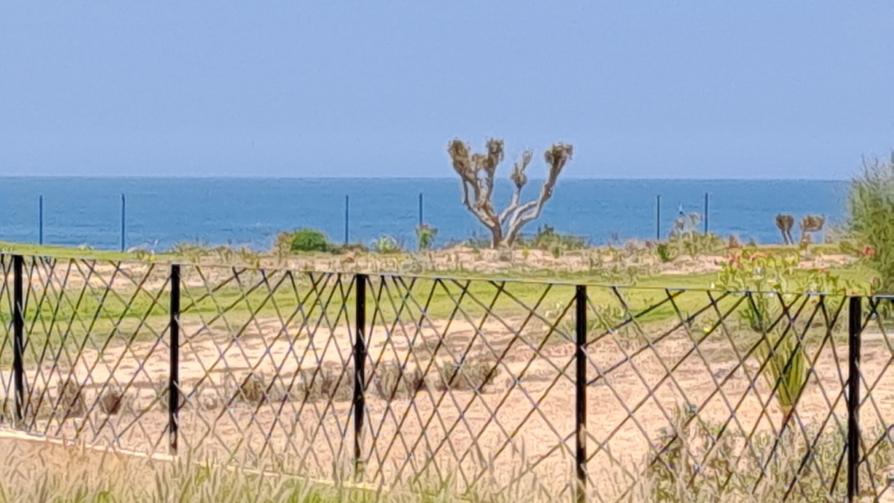 Photo of Others in Tamraght
