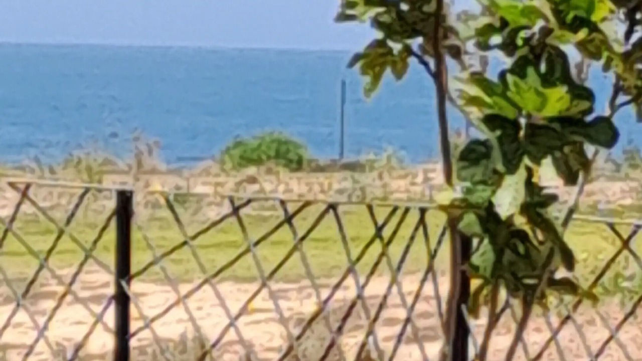 Photo of Others in Tamraght