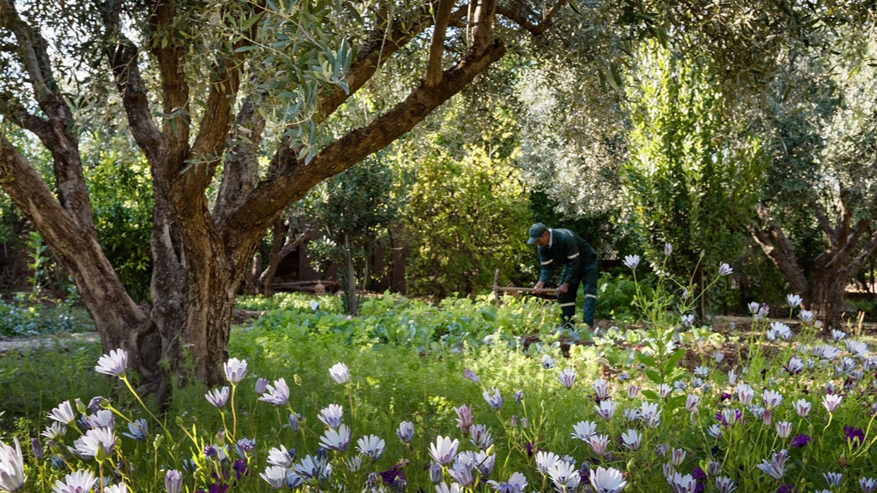 Photo of Outdoor in Sidi Abdallah Ghiat