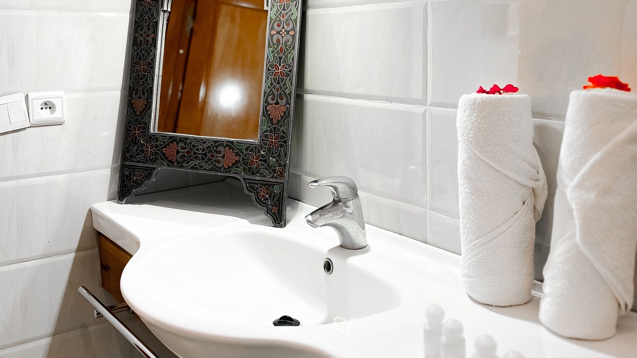 Photo of Bathroom in Sidi Abdallah Ghiat