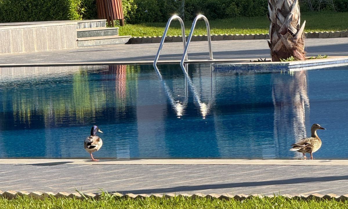Photo of Outdoor in Bouznika