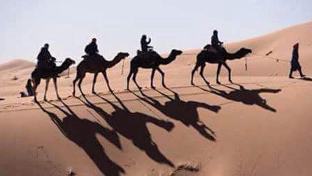 Photo of Others in Merzouga