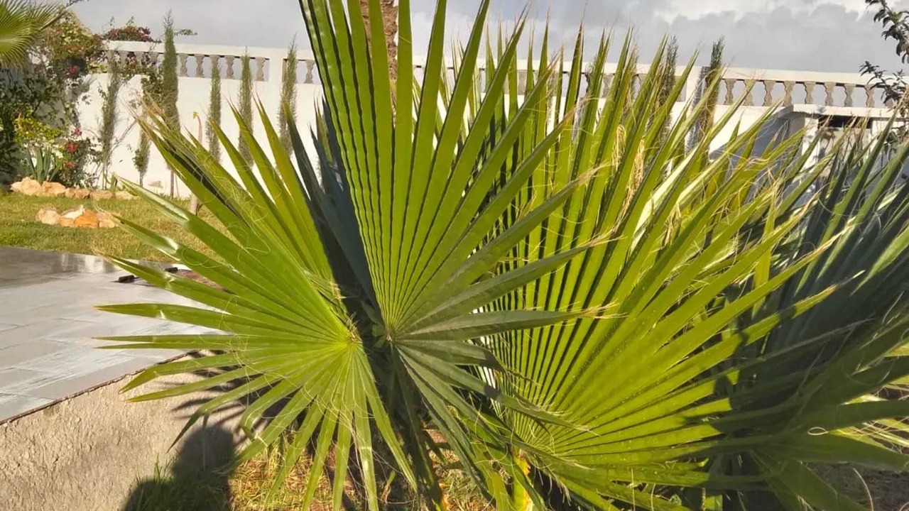 Photo of Outdoor in Sidi Bibi